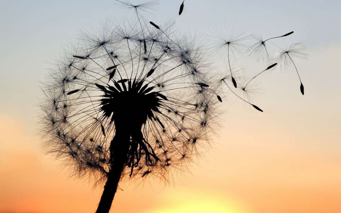Embracing Energetic Clarity: A Path to Mindful Living