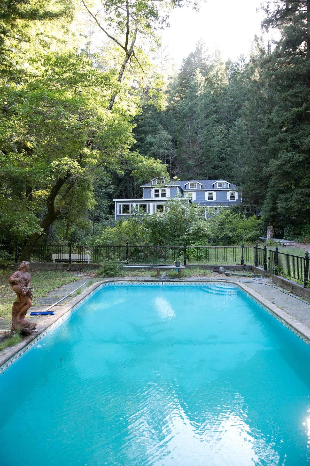 Large pool surrounded by trees